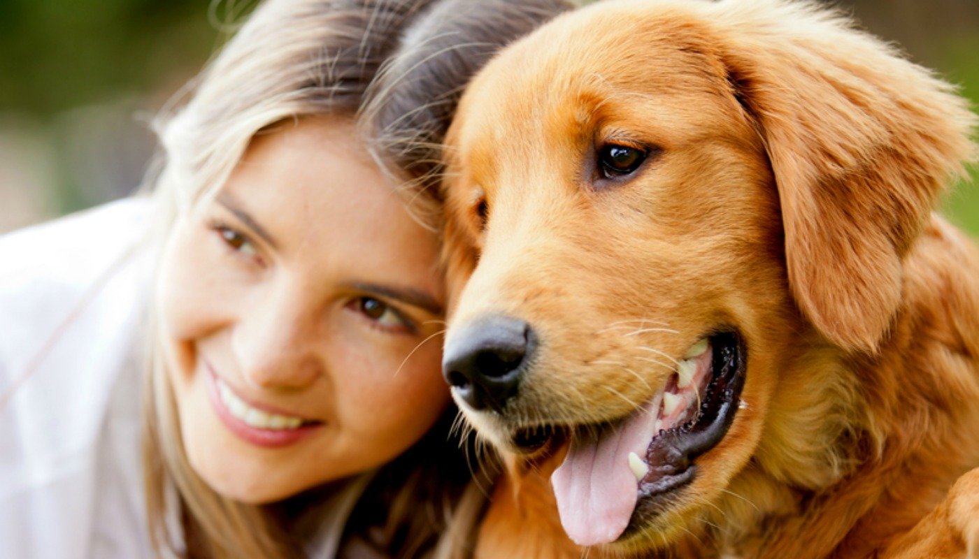 Ciência provou: amor entre cachorros e humanos acontece à primeira vista -  Mulher