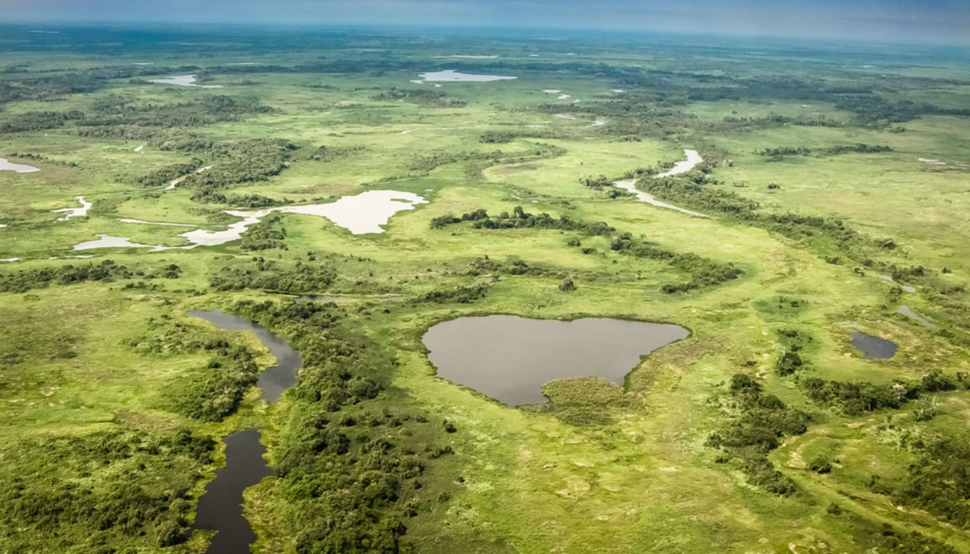 Pantanal: como a natureza construiu a maior planície que alaga e desalaga  do planeta? - Mulher